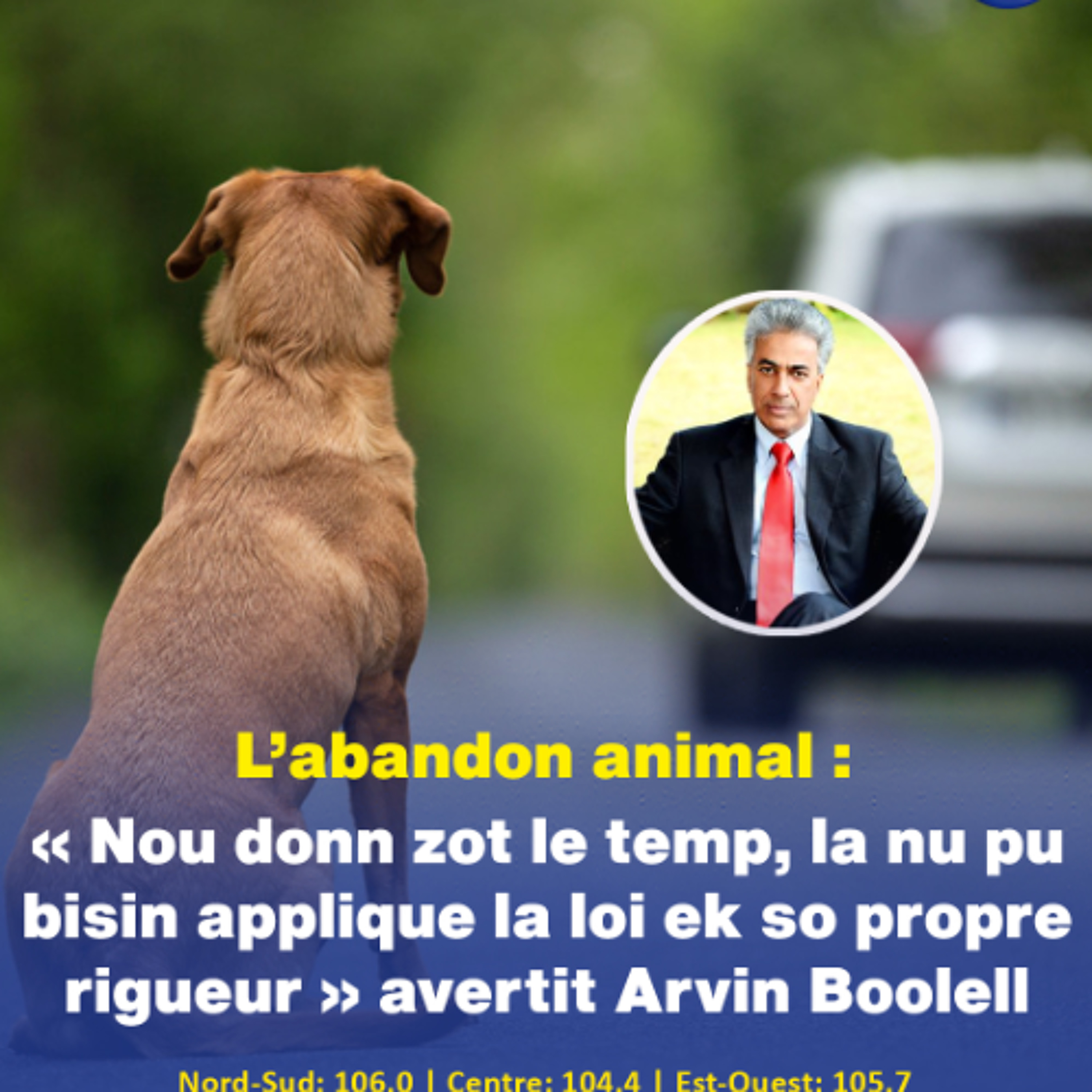 L’abandon animal : « Nou donn zot le temp, la nu pu bisin applique la loi ek so propre rigueur » avertit Arvin Boolell