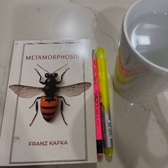 METAMORPHOSIS BY FRANZ KAFKA