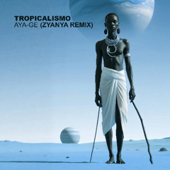 Tropicalismo - Aya-Ge (Zyanya remix)