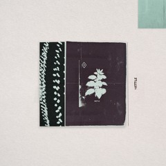 Nettle