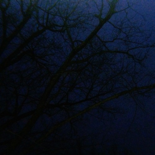 envy me [ft. idio] (prod. nection)