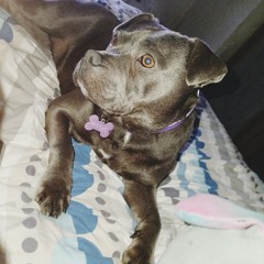 Copy of Copy of Bedroom hard techno mix.mp3