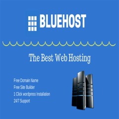 Blue Web Hosting: Elevating Your Online Presence