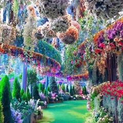 Abgeholt und auf dem Weg durch Alice's Techno-Wunderland!
