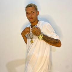 MC RYAN SP - ELA NÃO FUMA FLOR SÓ DRY E ICE (DJ RN SHEIK OFICIAL)