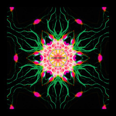 "First Creature" - Turn Theory 24’ DnB Mix