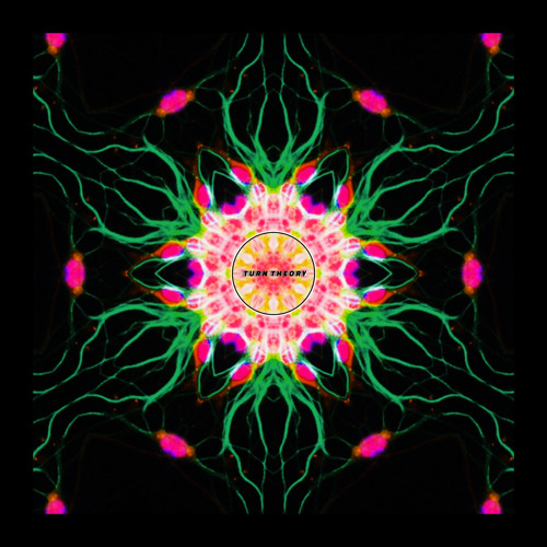 "First Creature" - Turn Theory 24’ DnB Mix
