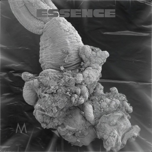 Parallel Forms, Orika & Desert Lines-Inklight (Mellon Place Records)