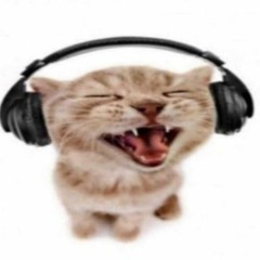 cat wit da headphones on