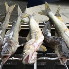 STRICTLYYROCKERS2!!!! nappzac sep.2021 mixtape