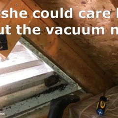 AAAC Wildlife Removal of Phoenix - Bat Removal Near Me Phoenix