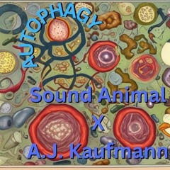 Sound Animal X A.J. Kaufmann -- Autophagy