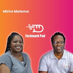 Episode 4: Alvin And Miriro discuss transitioning from public to private sector