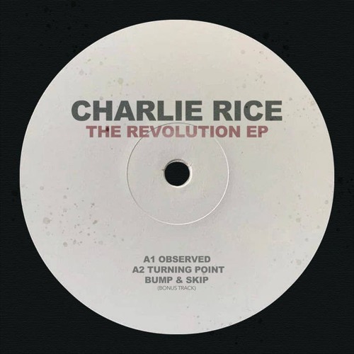 PremEar: Charlie Rice - Observed [BANDCAMP]