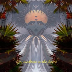 Go, meditate in the forest
