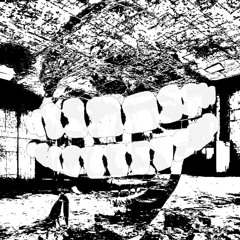 MONOCHROME w/ RUGS + WILDMVTT [PSVCH]