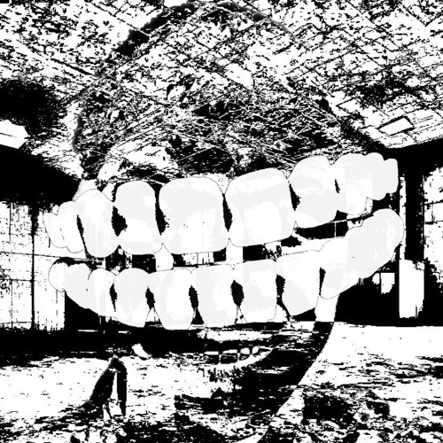 MONOCHROME w/ RUGS + WILDMVTT [PSVCH]