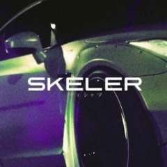 SKELER - ID 12 (extended)
