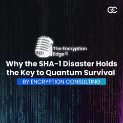 Why the SHA-1 Disaster Holds the Key to Quantum Survival