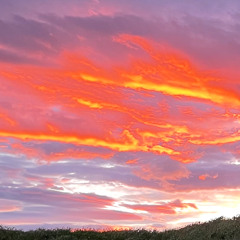 Funeral for my ghost dog - live @ Dokkhuset