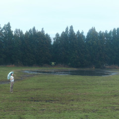 NCT DOYOUNG - 청춘의 포말 Hilight Medley (without narration)