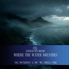 Where The Water Breathes / Dark Siren Song