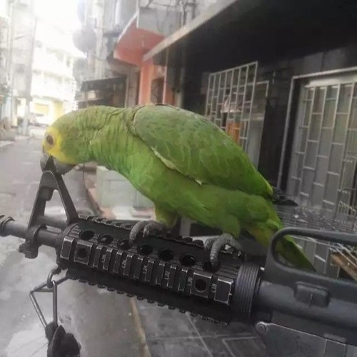 FUNK NAO BINARIO 2 (( DJ KOALA6 X DJ ENGRAÇADO ))