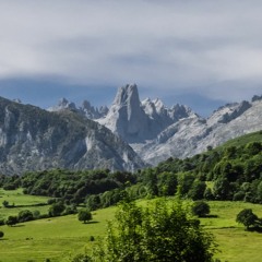 Diosa de la Floresta . canción de Indio Orellana