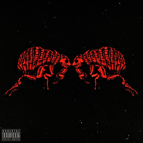 Stream Echo Ali - Kake[Prod. Marie Curry] by 1000 Shala | Listen online ...