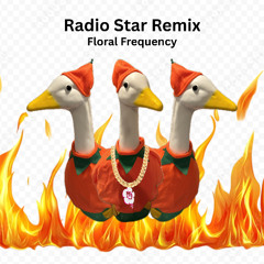RADIO STAR REMIX