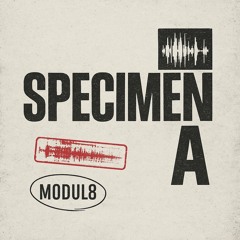 Specimen A: Triplet Dissection