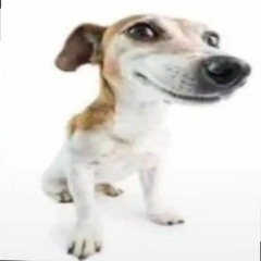 LeLe - LeLe mi este numele