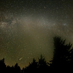 La trainée d'or - feat l'Enchanteur