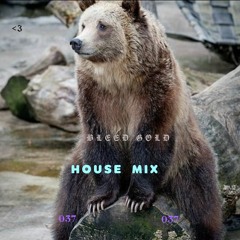 House mix 037