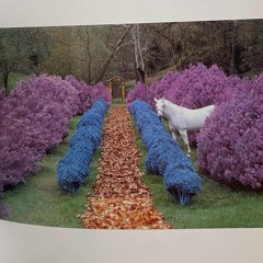 SISTA KIAO_ Tum Buk Hoong - Dub, Deep Dub Mix 24/10/25