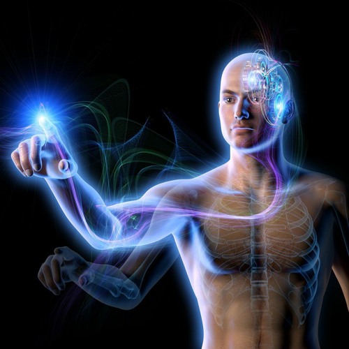 NEURAL MOTION