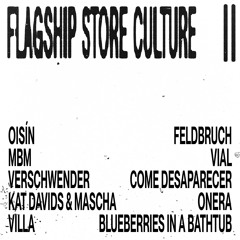 Flagship Store Culture II