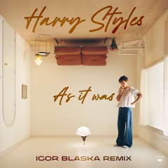 Harry Styles - As It Was (Igor Blaska Remix)
