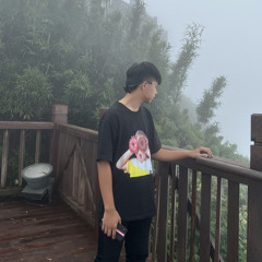Có lẽ anh chưa từng-remix