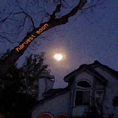 Harvest Moon (Neil Young Cover)