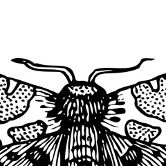 Mothball 2023