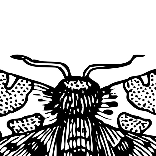 Mothball 2023