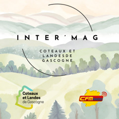 CFM RADIO - INTER'MAG - Mieux vivre avec le numérique-Podcast#4
