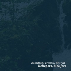 Monochrome presents, 𝖍𝖎𝖛𝖊𝖗 𝖑𝖑𝖑 : Heliopora.