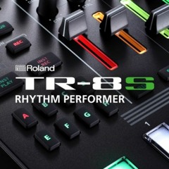 TR-8S Rhythm Performer [Ver2.0] Demo Song "Escalera Mecanica" by Daedelus