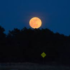 Cafune - Tek It (LUXX Remix)