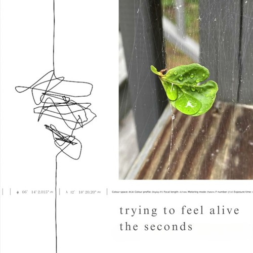 The Seconds x Trying To Feel Alive (Porter Robinson Nurture x Worlds)