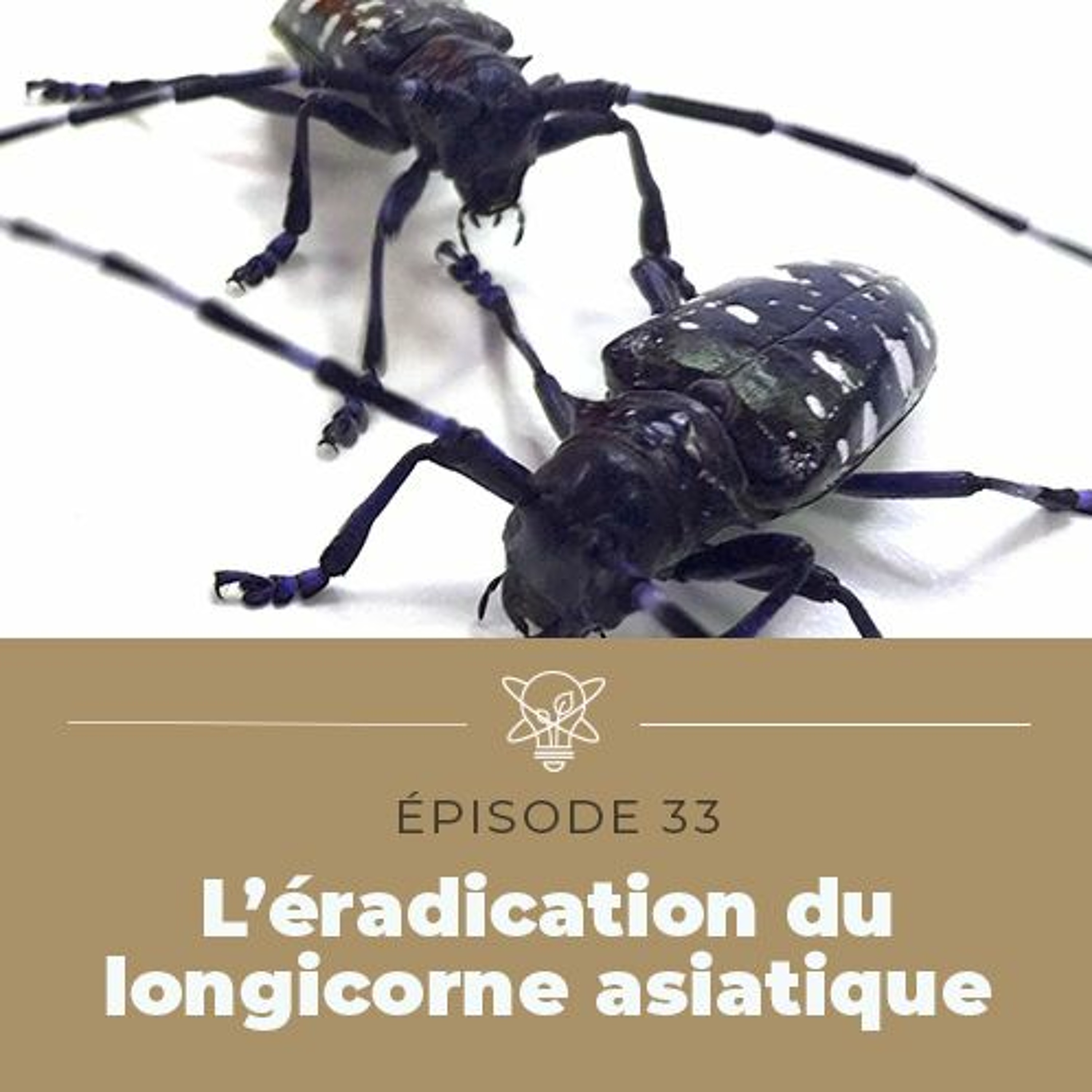 La science simplifiée