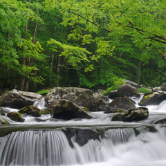 Bing Wallpaper