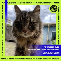 T Break "In Memory of Purrfessor" - 9 November 2021